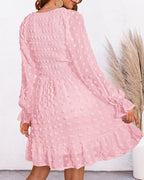 Women's Spring V Neck Swiss Dot Chiffon Mini Dress